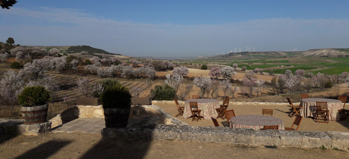 Casa Rural de Alquiler Completo Finca El Cercado
