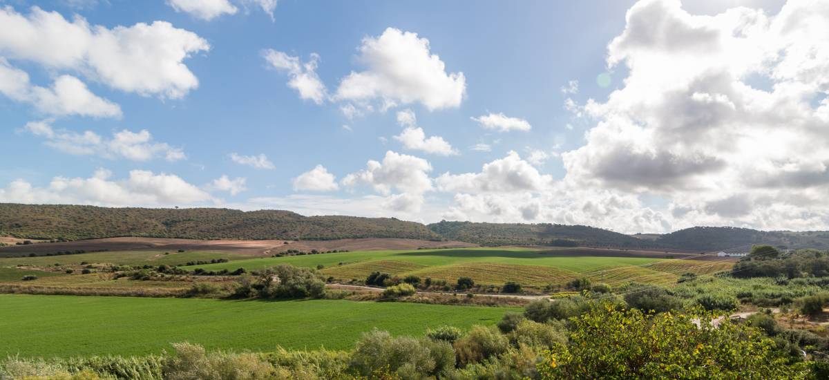 Hacienda el Santiscal