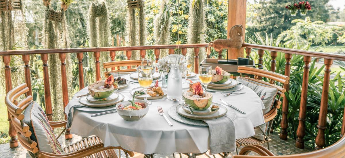 Hacienda La Danesa 