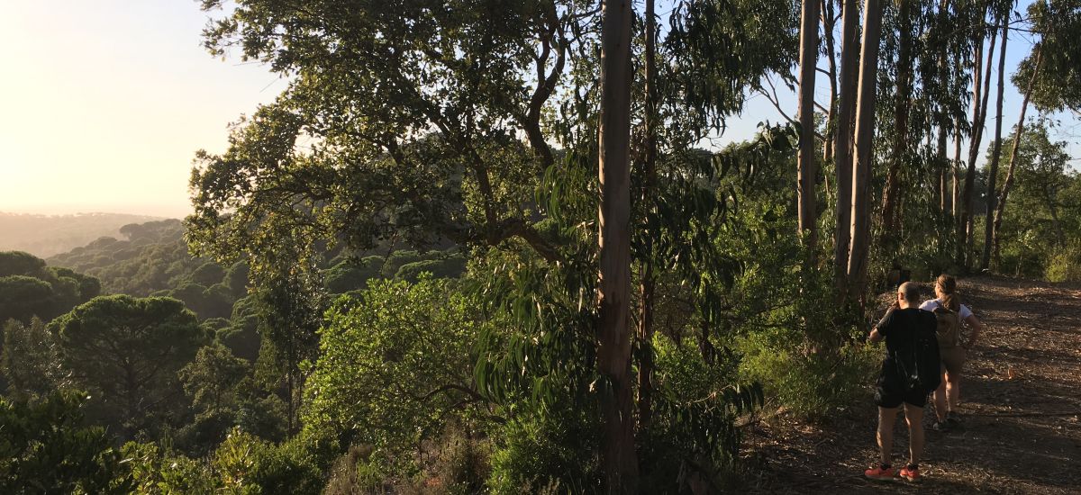 Herdade das Barradas da Serra