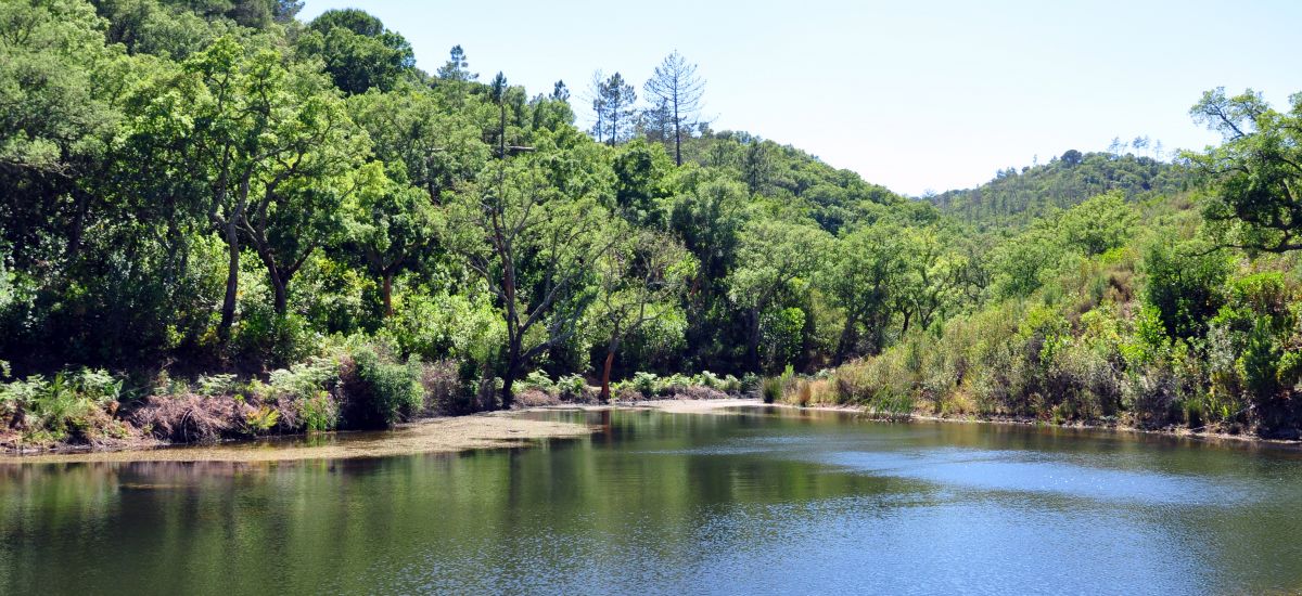 Herdade das Barradas da Serra