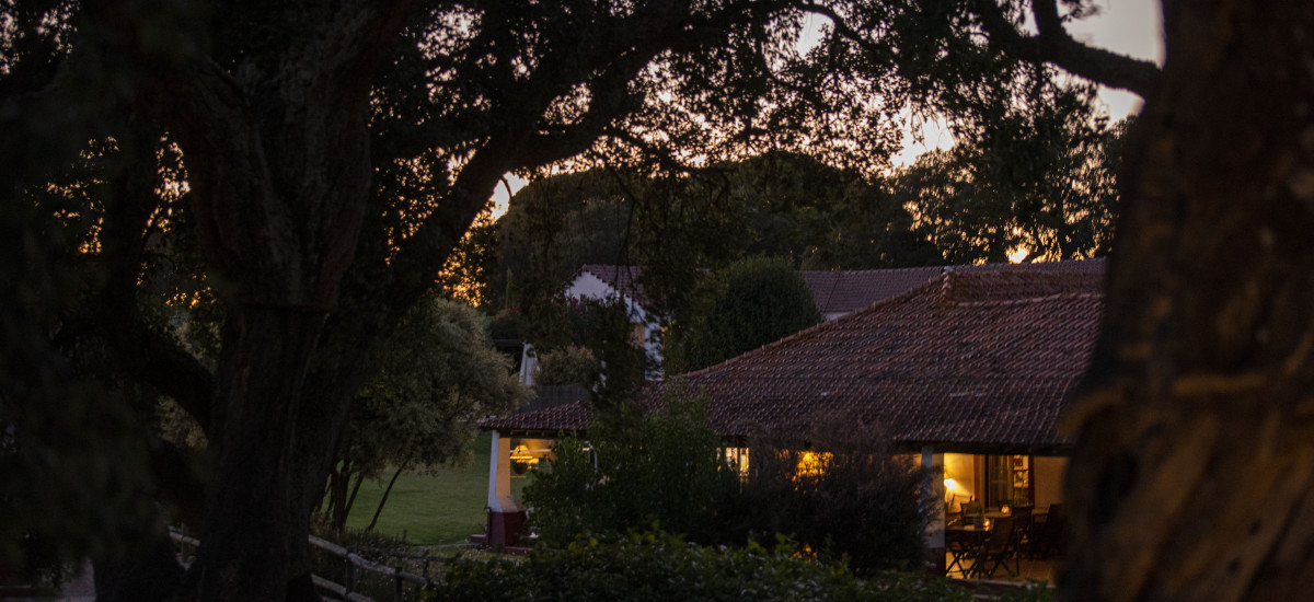 Herdade das Barradas da Serra