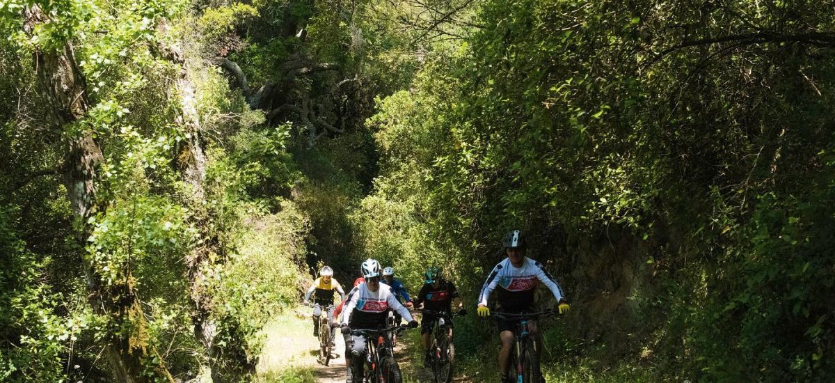 Herdade das Barradas da Serra