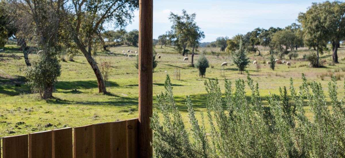 Herdade das Barradas da Serra