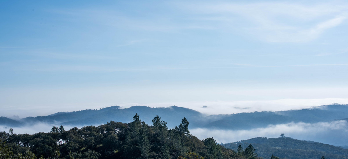 Herdade das Barradas da Serra