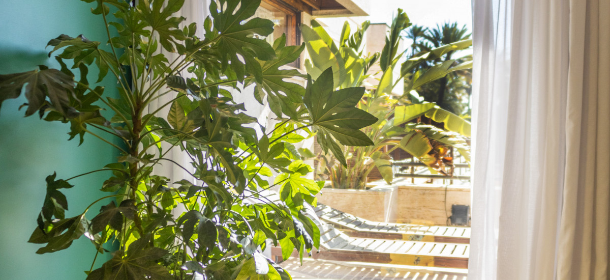 Hort De Nal Hotel Boutique