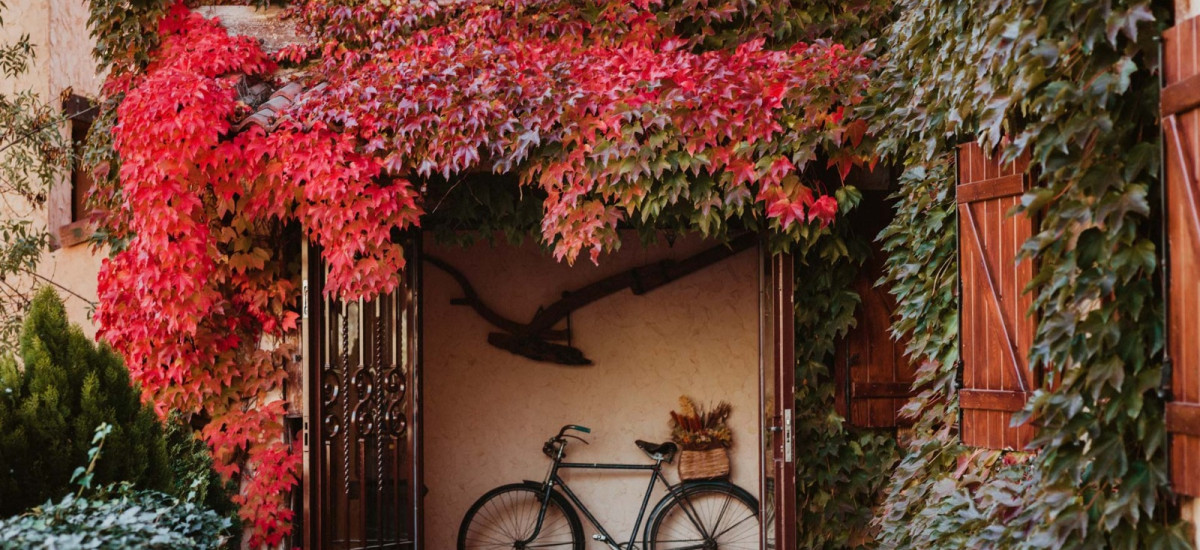 Hospedería del Valle Boutique Apartments