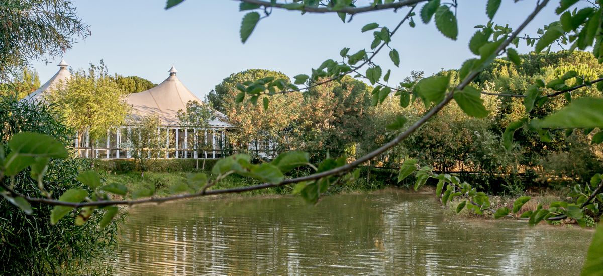Hotel Ardea Purpurea Lodge