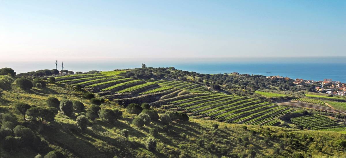 Hotel Arrey Alella