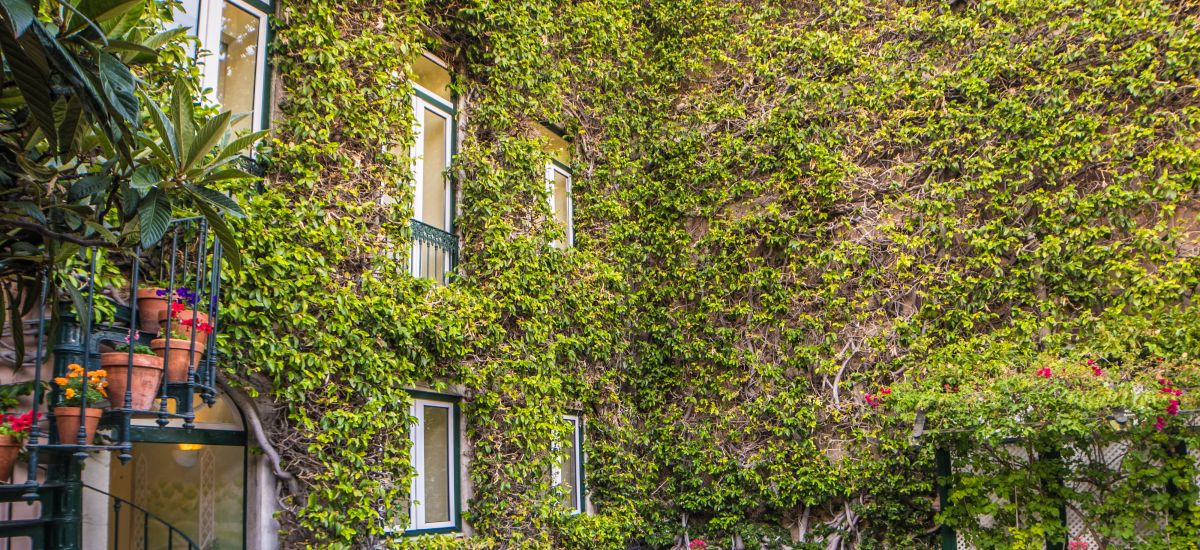 Hotel As Janelas Verdes