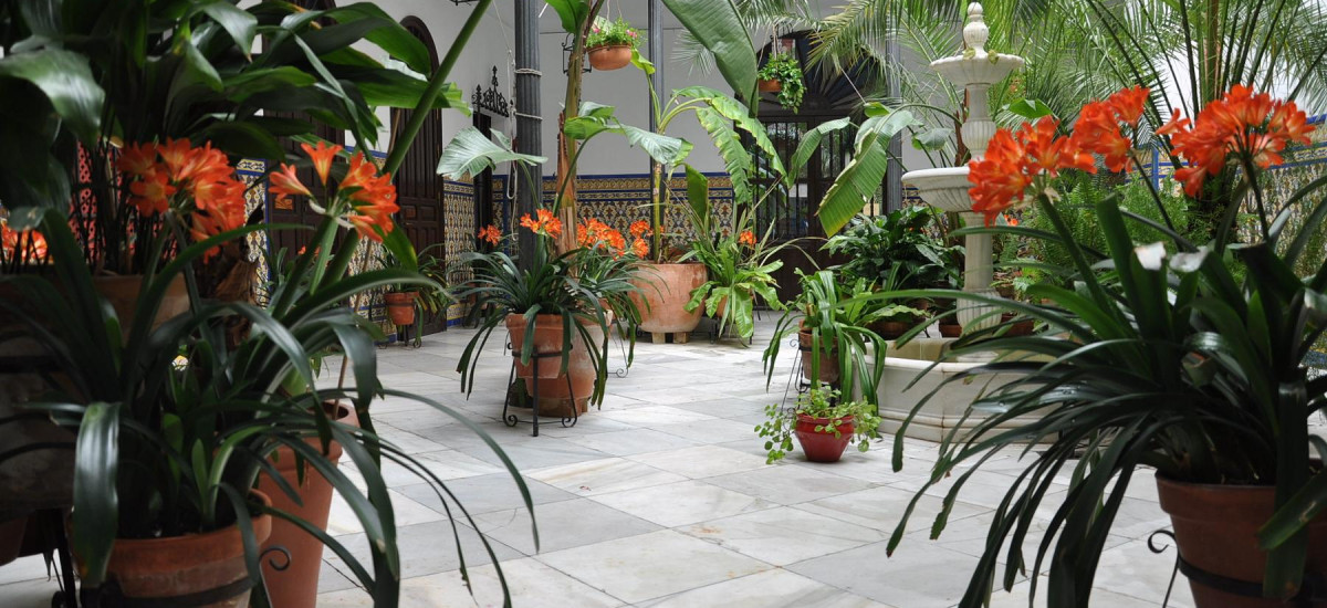 Rusticae Hotel Córdoba con encanto Patio