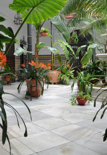 Rusticae Hotel Córdoba con encanto Patio