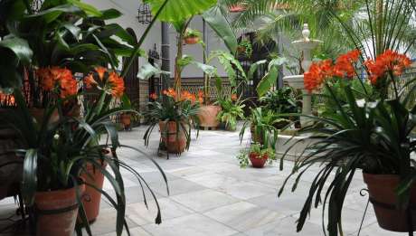 Rusticae Hotel Córdoba con encanto Patio