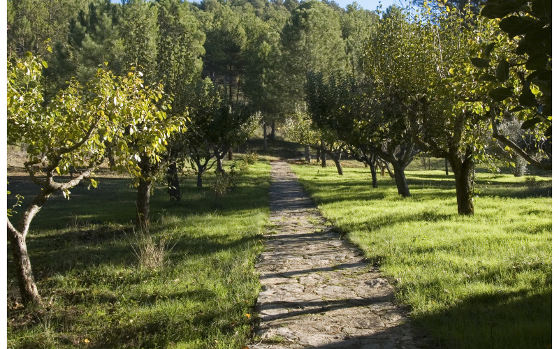 Hotel Casita de Cabrejas