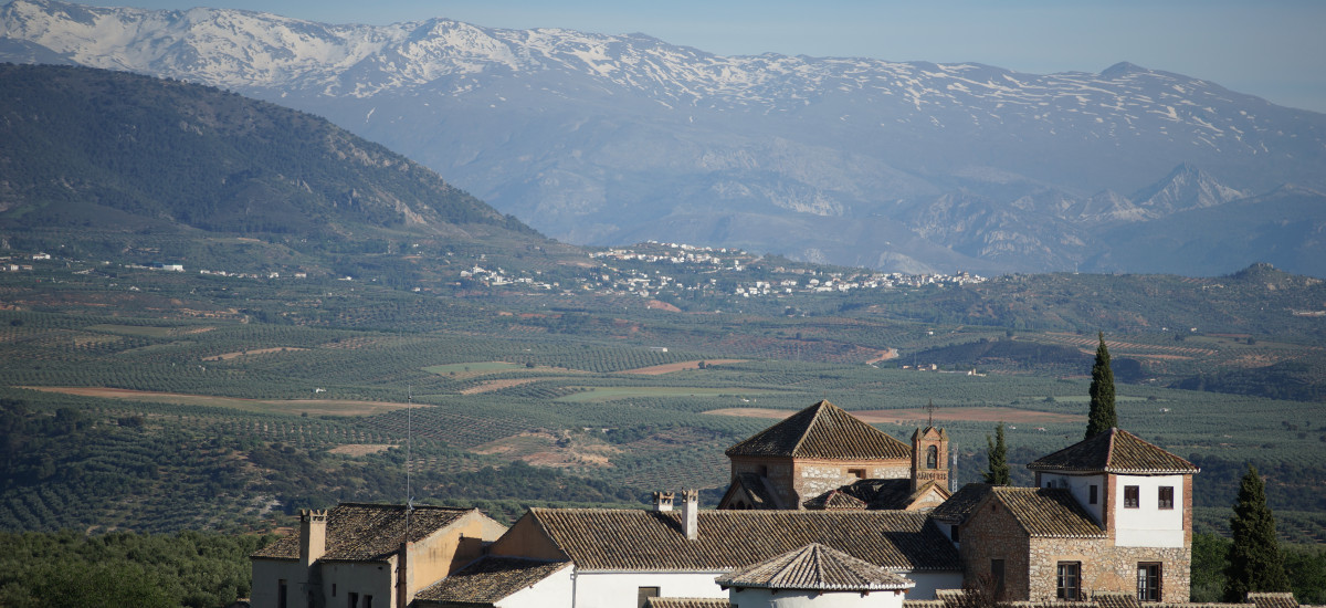 Hotel Cortijo del Marqués