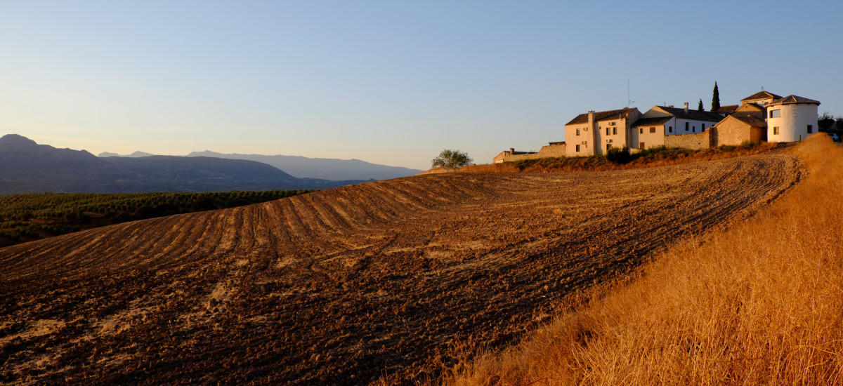 Hotel Cortijo del Marqués