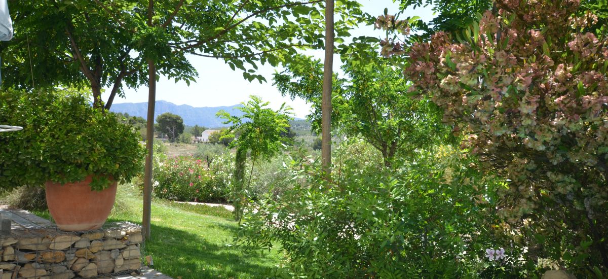 Hotel Finca el Pao