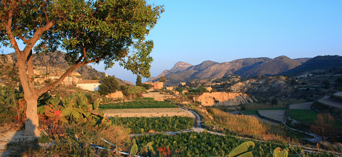 Hotel Finca el Pao