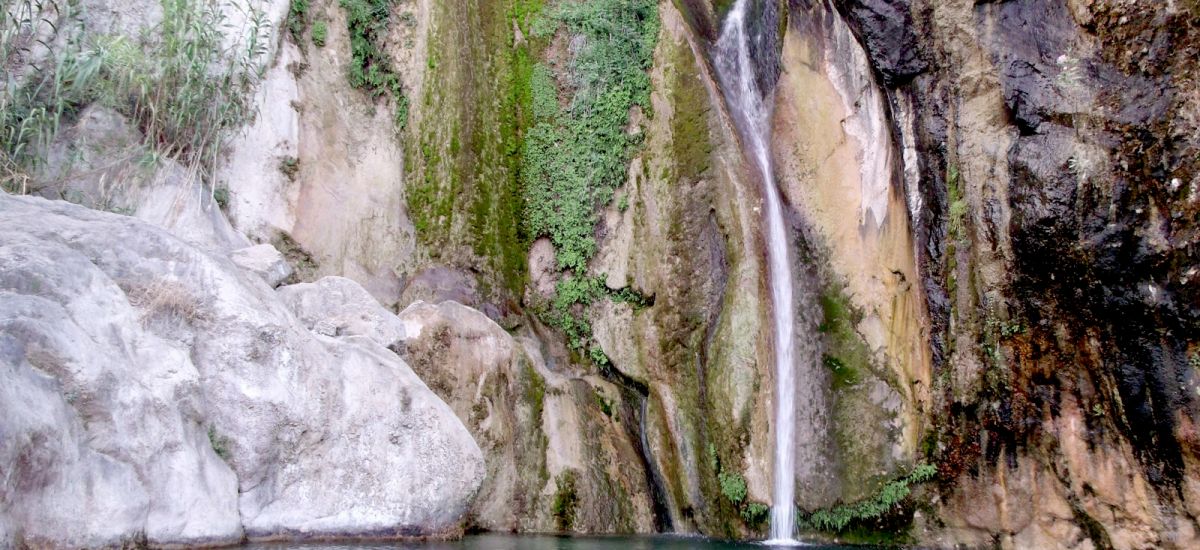 Hotel Finca el Pao