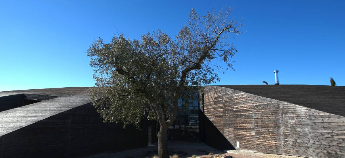 Hotel Herdade Da Cortesia