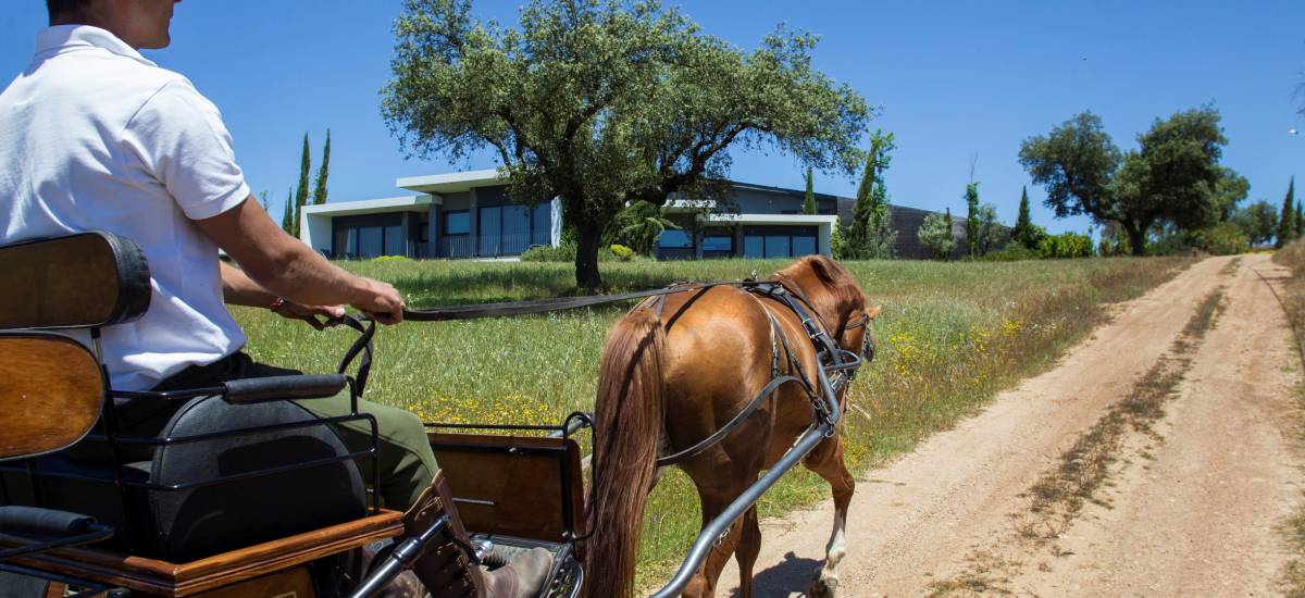 Hotel Herdade Da Cortesia