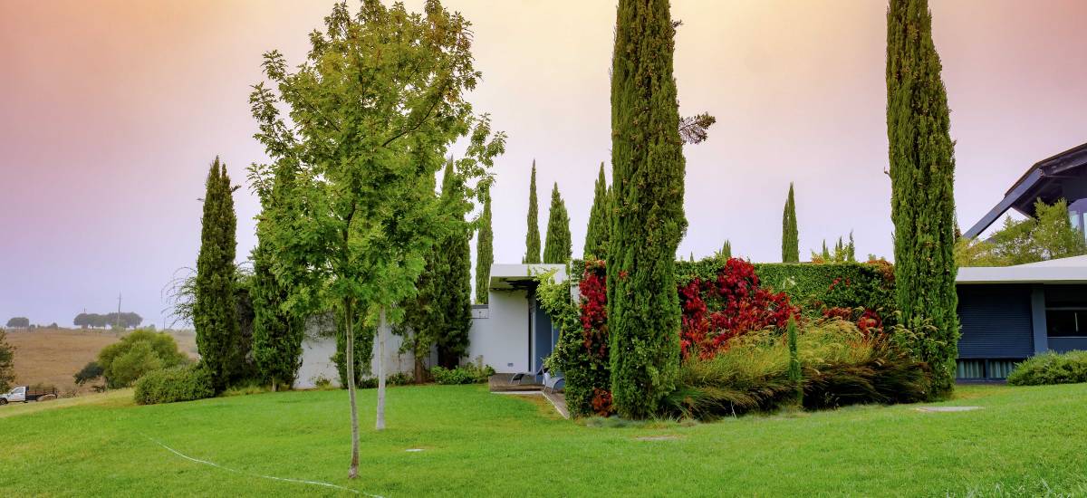 Herdade Da Cortesía Hotel Avis Portugal jardin