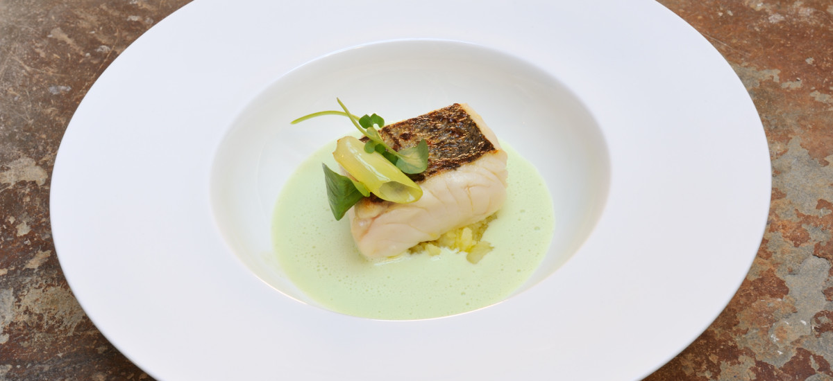 Rusticae Caceres charmingh Hotel Palacio Carvajal Giron