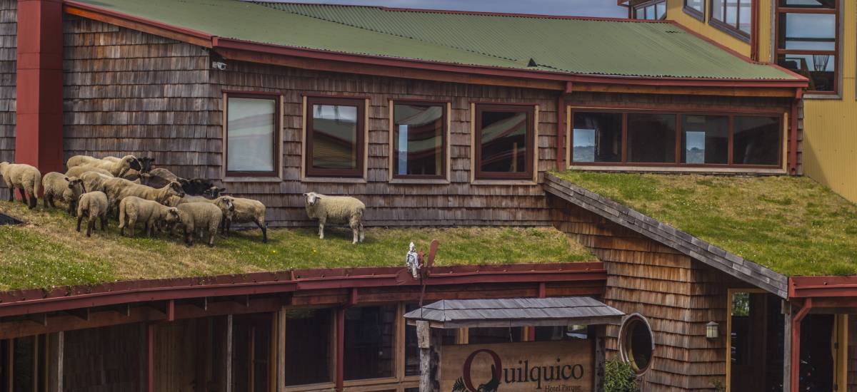 Hotel Parque Quilquico en Chiloé entrada ovejas tejado Hotel 