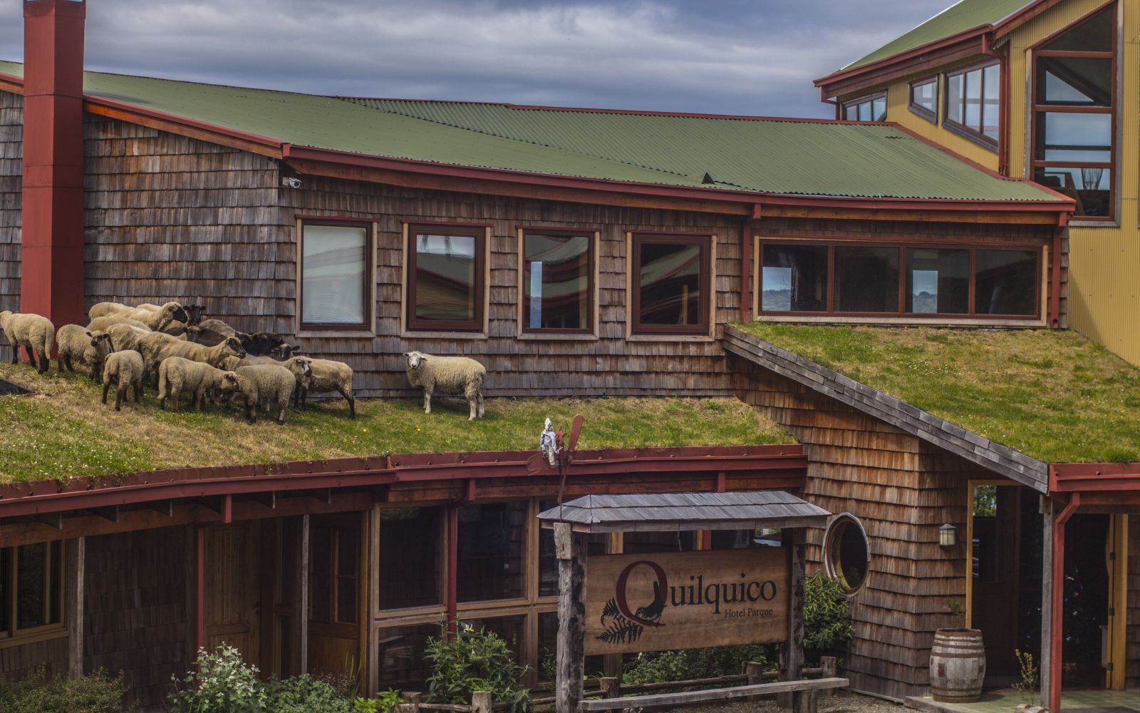 Hotel Parque Quilquico en Chiloé entrada ovejas tejado Hotel 