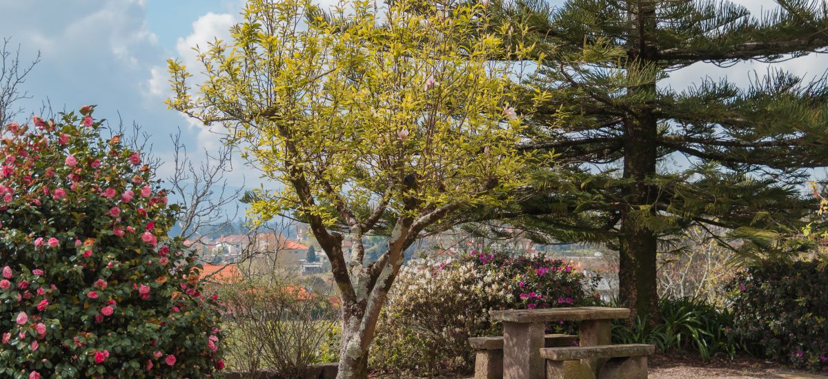Hotel Quinta da Bouça D'Arques