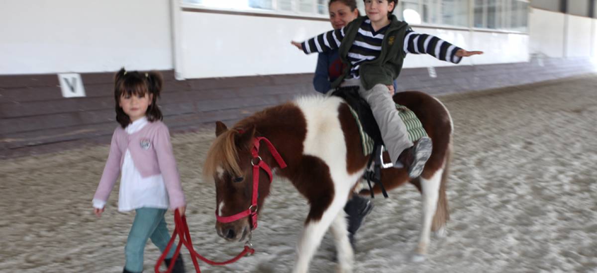 Hoteles Rusticae, Hoteles con caballos 