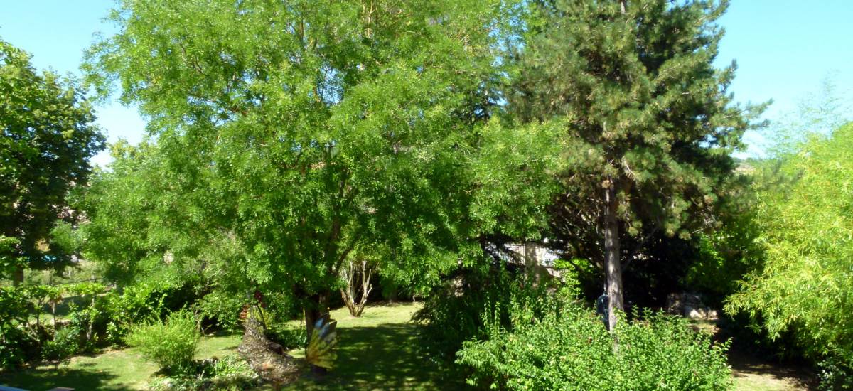 La Bastide de Cordes
