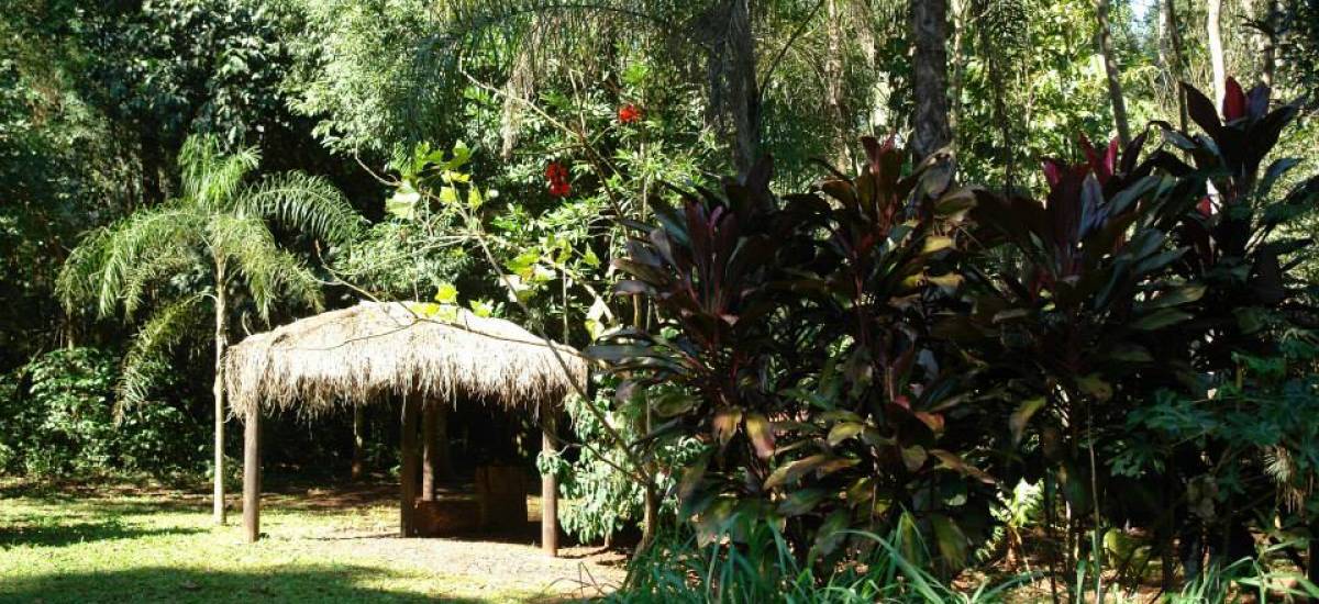 La Cantera Jungle Lodge