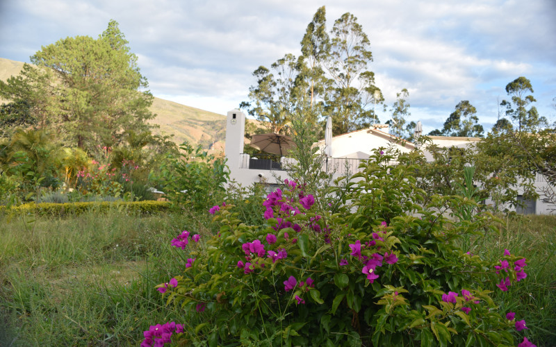 MasClara Casa de Huéspedes