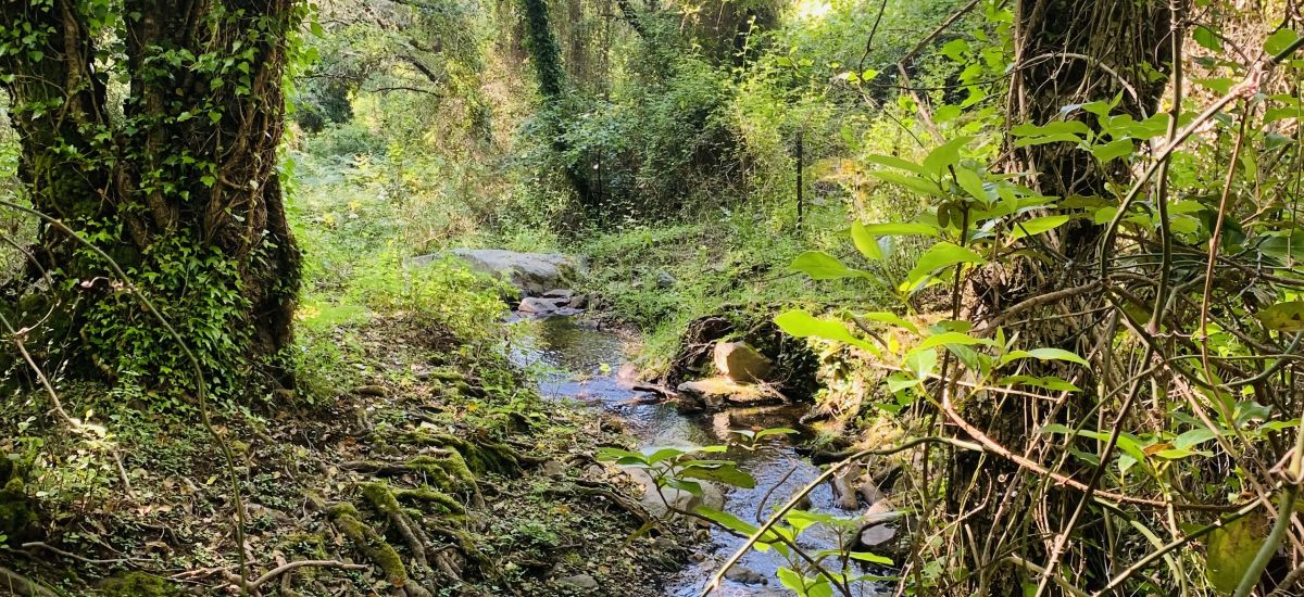 Nature Space Jabugo
