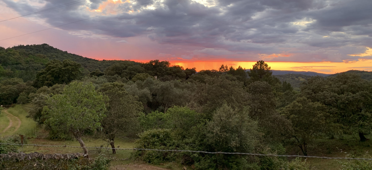 Nature Space Jabugo