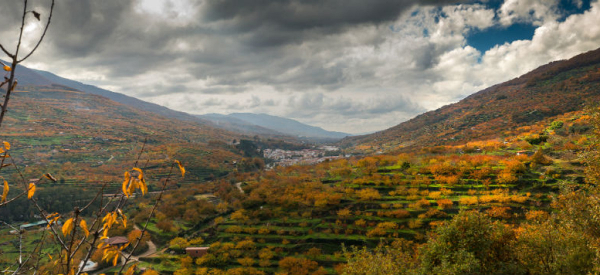 El Jerte (casi) secreto: La magia del valle cuando las multitudes se han ido
