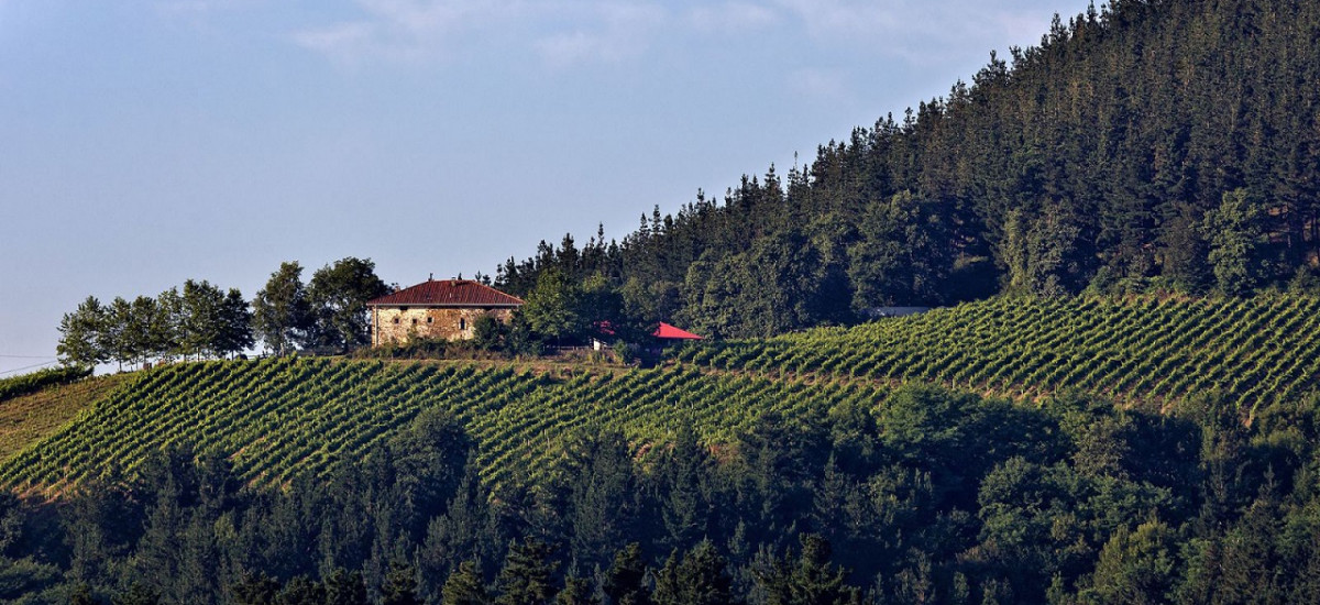 The Txakoli route in Gipuzkoa