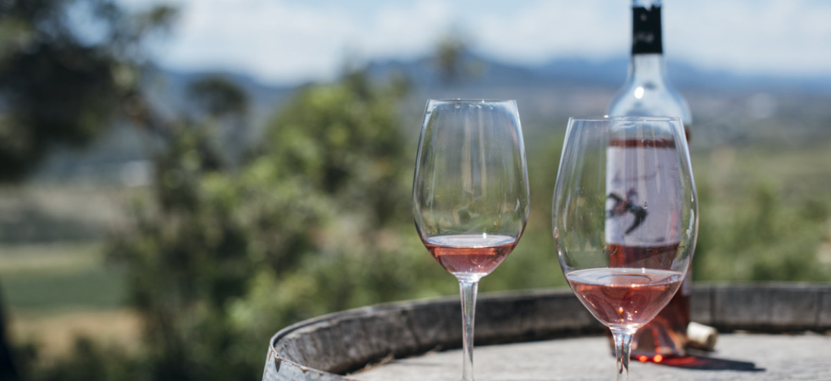 TOP 6 destinos en Portugal para amantes del vino y la buena mesa