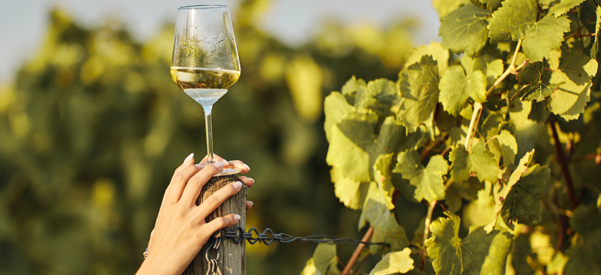 Sabores de julio: Un verano para el paladar