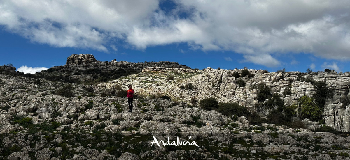 De Parques Naturales y otras joyas  con Isabel Llorens