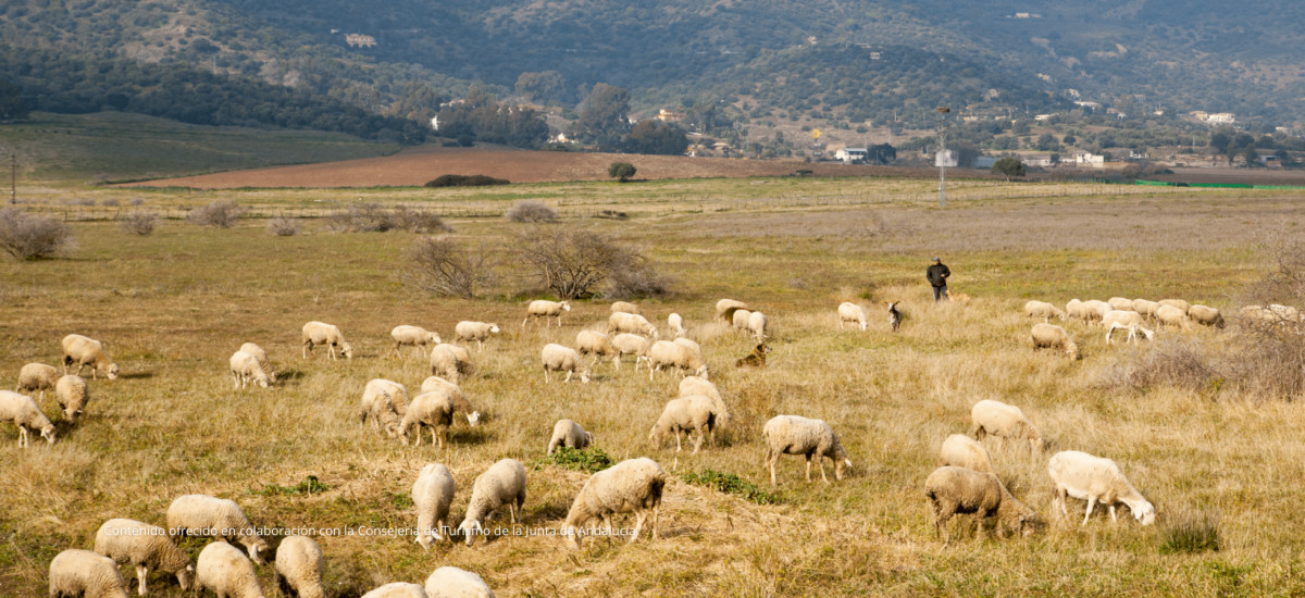 Andalucía naturalmente responsable