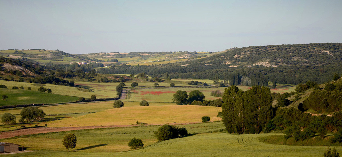 Elige Castilla y León