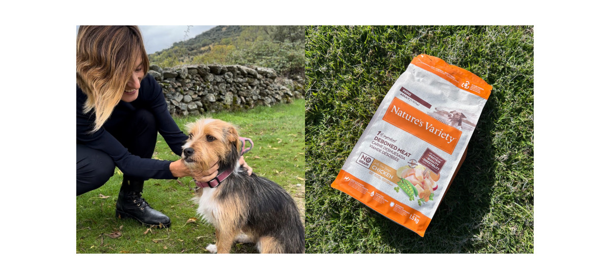 Conoce los mejores alojamientos petfriendly con Nature's Variety 