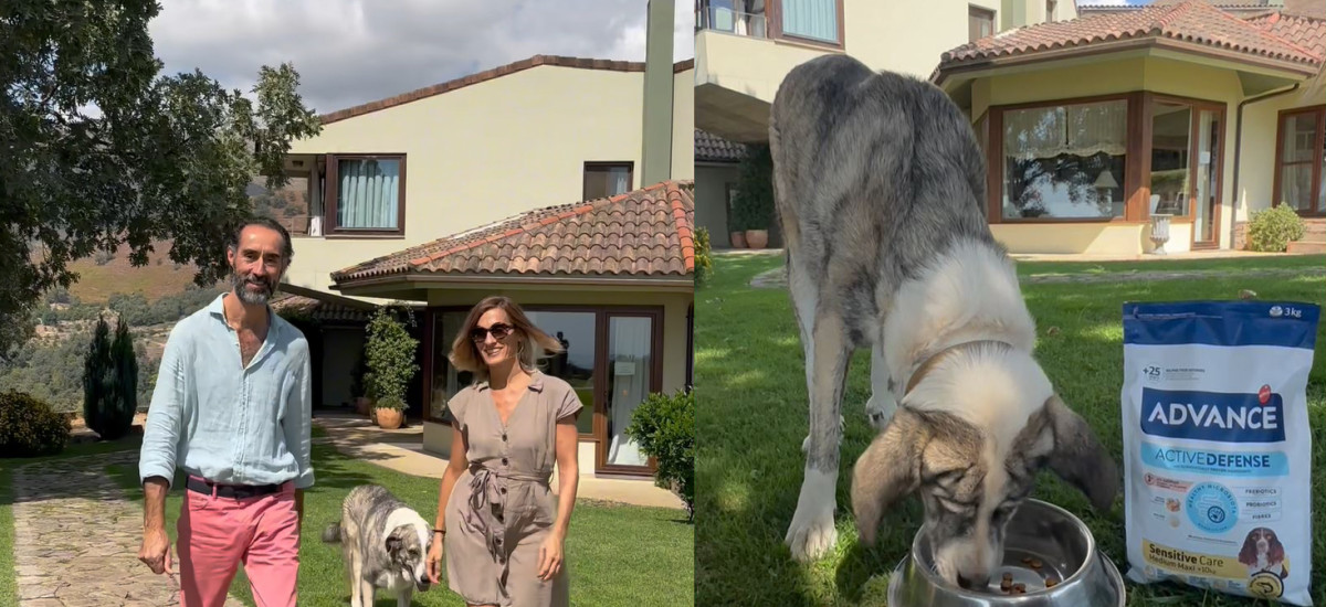 LOS PERROS SE VAN DE VIAJE CON AFFINITY E ISABEL LLORENS