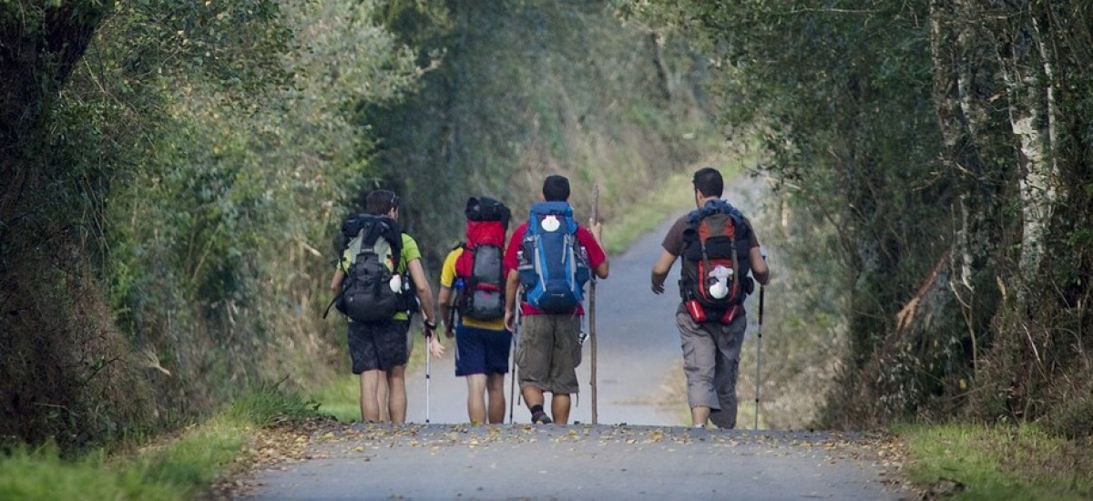 Camina a Galicia