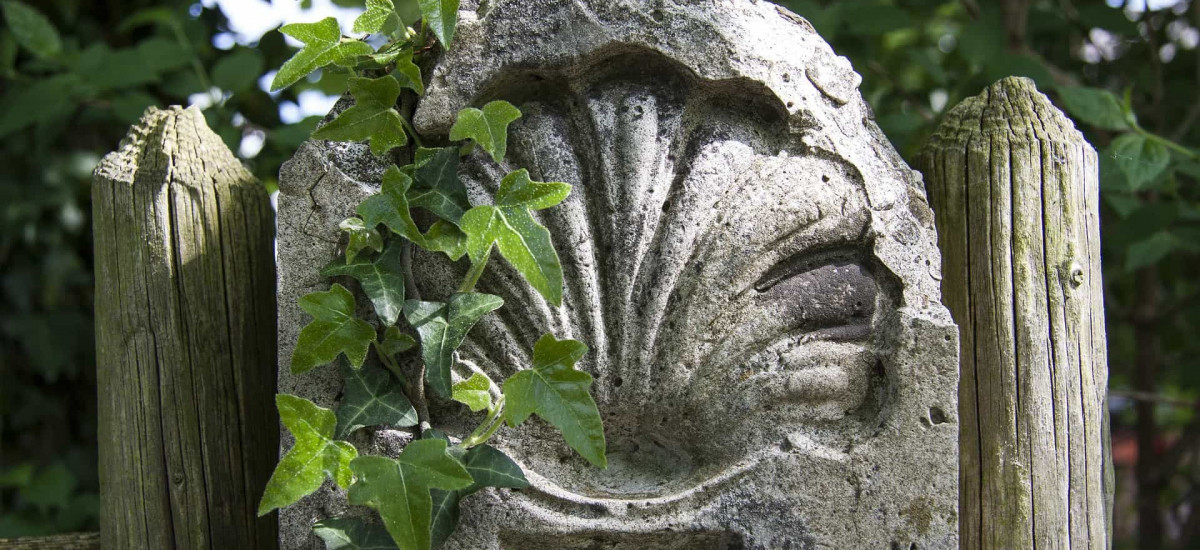 Camino de Santiago Portugués