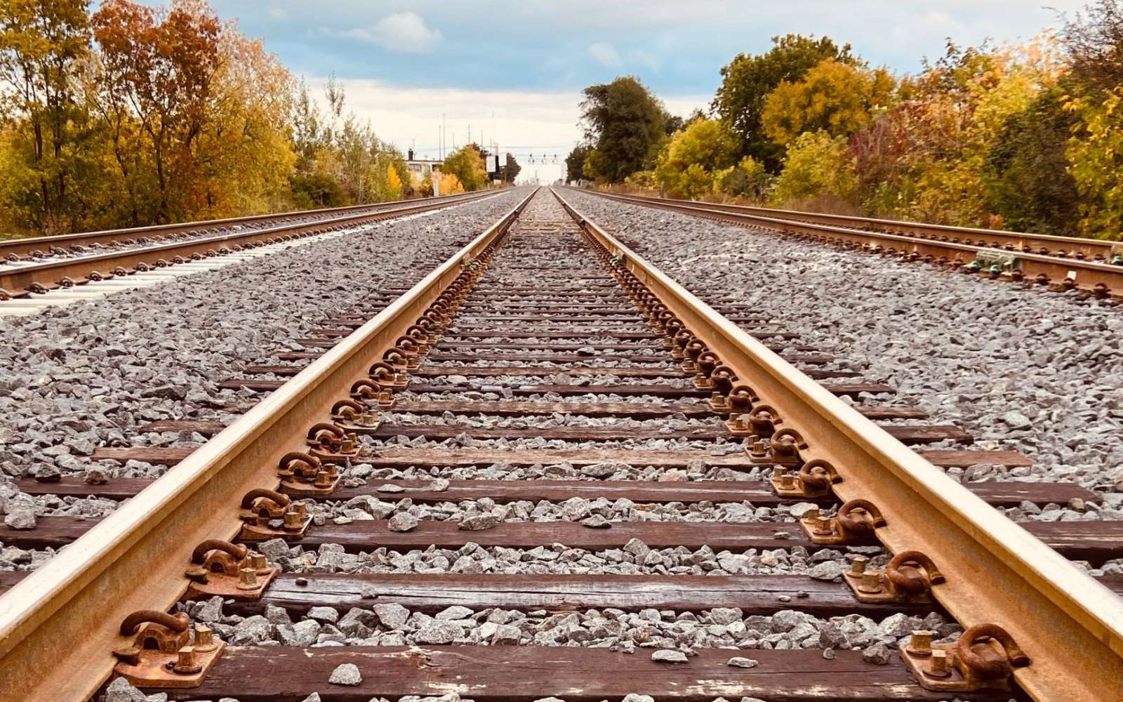 Viaja gratis con Rusticae y tus "Renfecitos": ¡Tus puntos tienen premio!