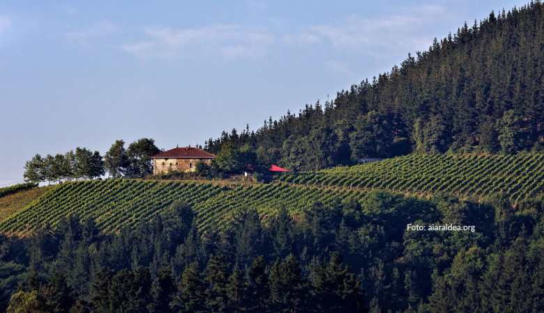 Ruta del Txakoli Getaria Zarautz