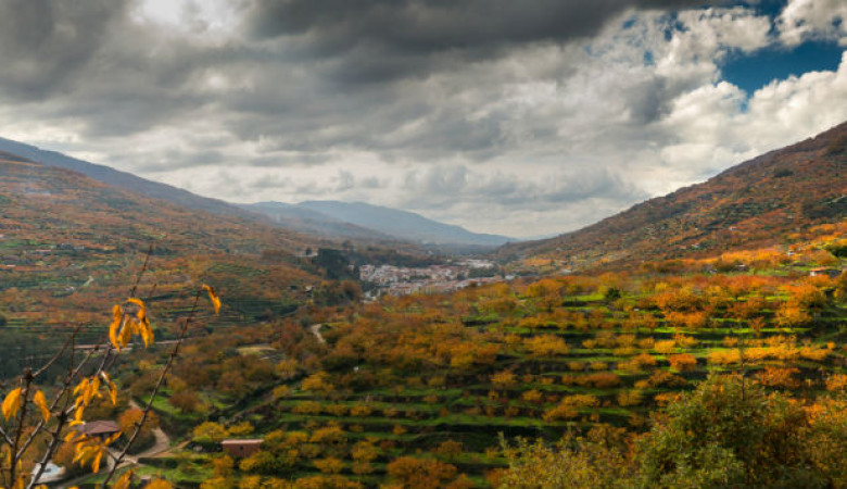 El Jerte (casi) secreto: La magia del valle cuando las multitudes se han ido